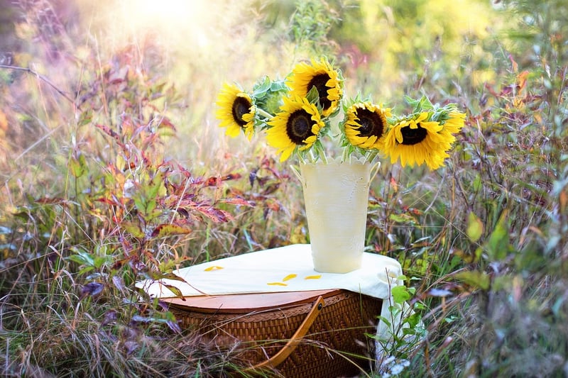 Galaxy-themed Arrangements